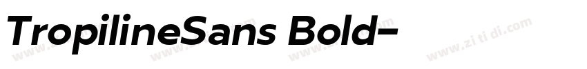 TropilineSans Bold字体转换 TropilineSans Bold字体转换
